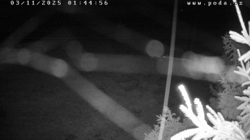 Snímek    3.11.2025 v 01:45