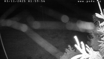 Snímek    3.11.2025 v 02:00