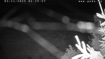 Snímek    3.11.2025 v 02:30