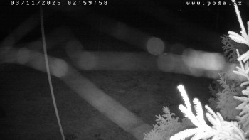 Snímek    3.11.2025 v 03:00