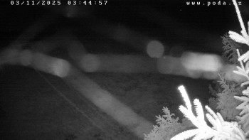 Snímek    3.11.2025 v 03:45