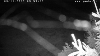 Snímek    3.11.2025 v 04:00