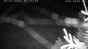 Snímek    3.11.2025 v 04:30