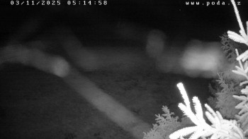 Snímek    3.11.2025 v 05:15