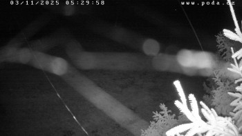 Snímek    3.11.2025 v 05:30