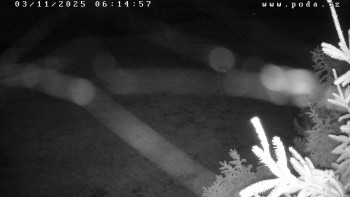 Snímek    3.11.2025 v 06:15