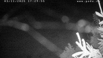 Snímek    3.11.2025 v 17:30