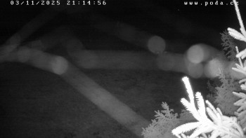 Snímek    3.11.2025 v 21:15