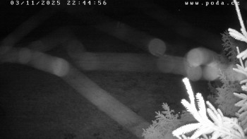 Snímek    3.11.2025 v 22:45