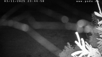 Snímek    3.11.2025 v 23:45