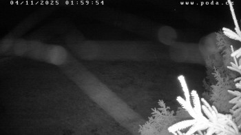 Snímek    4.11.2025 v 02:00