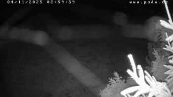 Snímek    4.11.2025 v 03:00