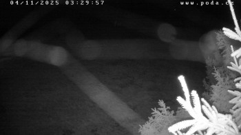 Snímek    4.11.2025 v 03:30