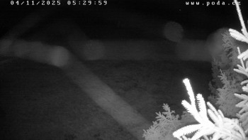 Snímek    4.11.2025 v 05:30