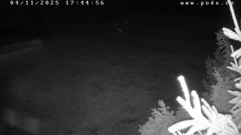 Snímek 4.11.2025 v 17:45