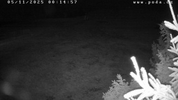 Snímek 5.11.2025 v 00:15