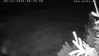 Snímek 5.11.2025 v 00:30