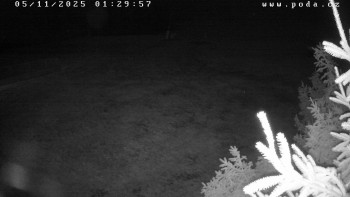 Snímek 5.11.2025 v 01:30