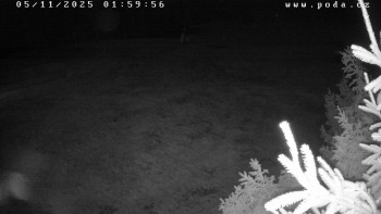 Snímek 5.11.2025 v 02:00