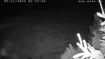 Snímek 5.11.2025 v 02:15