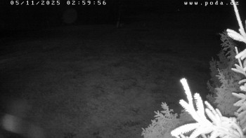 Snímek 5.11.2025 v 03:00