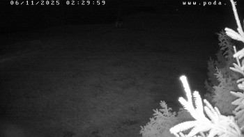 Snímek 6.11.2025 v 02:30