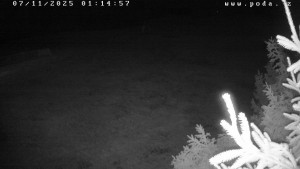 Ski klub Velké Meziříčí - Fajtův kopec - Sjezdovka - 7.11.2025 v 01:15 Ski klub Velké Meziříčí - Fajtův kopec - Sjezdovka - 7.11.2025 v 01:15