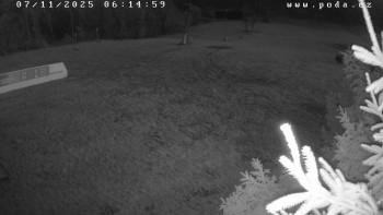 Snímek 7.11.2025 v 06:15