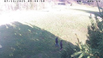 Snímek 7.11.2025 v 09:45