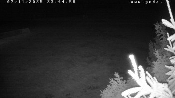 Snímek 7.11.2025 v 23:45