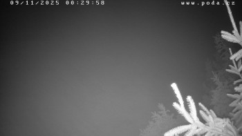 Snímek 9.11.2025 v 00:30