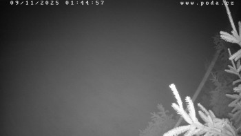 Snímek 9.11.2025 v 01:45