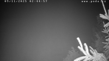 Snímek 9.11.2025 v 02:45