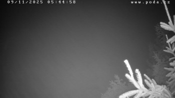 Snímek 9.11.2025 v 05:45