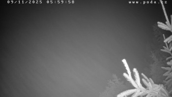 Snímek 9.11.2025 v 06:00