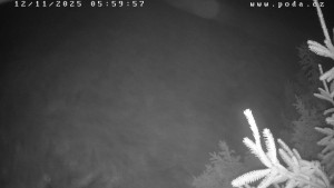 Ski klub Velké Meziříčí - Fajtův kopec - Sjezdovka - 12.11.2025 v 06:00 Ski klub Velké Meziříčí - Fajtův kopec - Sjezdovka - 12.11.2025 v 06:00