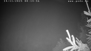 Ski klub Velké Meziříčí - Fajtův kopec - Sjezdovka - 14.11.2025 v 00:15 Ski klub Velké Meziříčí - Fajtův kopec - Sjezdovka - 14.11.2025 v 00:15