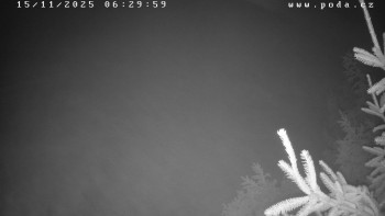 Snímek 15.11.2025 v 06:30