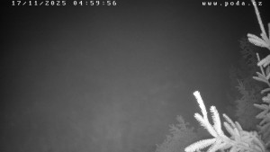 Ski klub Velké Meziříčí - Fajtův kopec - Sjezdovka - 17.11.2025 v 05:00 Ski klub Velké Meziříčí - Fajtův kopec - Sjezdovka - 17.11.2025 v 05:00