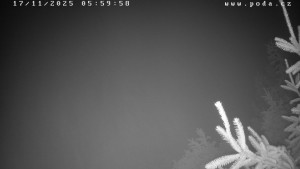 Ski klub Velké Meziříčí - Fajtův kopec - Sjezdovka - 17.11.2025 v 06:00 Ski klub Velké Meziříčí - Fajtův kopec - Sjezdovka - 17.11.2025 v 06:00