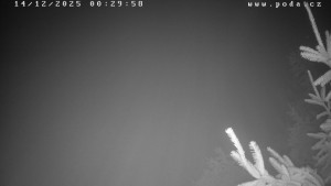 Ski klub Velké Meziříčí - Fajtův kopec - Sjezdovka - 14.12.2025 v 00:30 Ski klub Velké Meziříčí - Fajtův kopec - Sjezdovka - 14.12.2025 v 00:30