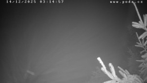 Ski klub Velké Meziříčí - Fajtův kopec - Sjezdovka - 14.12.2025 v 03:15 Ski klub Velké Meziříčí - Fajtův kopec - Sjezdovka - 14.12.2025 v 03:15