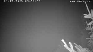 Ski klub Velké Meziříčí - Fajtův kopec - Sjezdovka - 14.12.2025 v 04:00 Ski klub Velké Meziříčí - Fajtův kopec - Sjezdovka - 14.12.2025 v 04:00