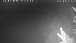 Ski klub Velké Meziříčí - Fajtův kopec - Sjezdovka - 28.12.2025 v 04:30 Ski klub Velké Meziříčí - Fajtův kopec - Sjezdovka - 28.12.2025 v 04:30