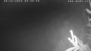 Ski klub Velké Meziříčí - Fajtův kopec - Sjezdovka - 28.12.2025 v 05:00 Ski klub Velké Meziříčí - Fajtův kopec - Sjezdovka - 28.12.2025 v 05:00