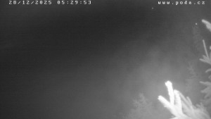 Ski klub Velké Meziříčí - Fajtův kopec - Sjezdovka - 28.12.2025 v 05:30 Ski klub Velké Meziříčí - Fajtův kopec - Sjezdovka - 28.12.2025 v 05:30