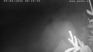 Ski klub Velké Meziříčí - Fajtův kopec - Sjezdovka - 9.4.2026 v 00:15 Ski klub Velké Meziříčí - Fajtův kopec - Sjezdovka - 9.4.2026 v 00:15