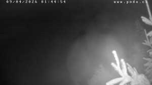 Ski klub Velké Meziříčí - Fajtův kopec - Sjezdovka - 9.4.2026 v 01:45 Ski klub Velké Meziříčí - Fajtův kopec - Sjezdovka - 9.4.2026 v 01:45