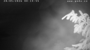 Ski klub Velké Meziříčí - Fajtův kopec - Sjezdovka - 28.5.2026 v 00:15 Ski klub Velké Meziříčí - Fajtův kopec - Sjezdovka - 28.5.2026 v 00:15