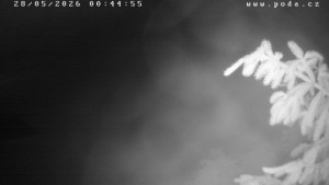 Ski klub Velké Meziříčí - Fajtův kopec - Sjezdovka - 28.5.2026 v 00:45 Ski klub Velké Meziříčí - Fajtův kopec - Sjezdovka - 28.5.2026 v 00:45